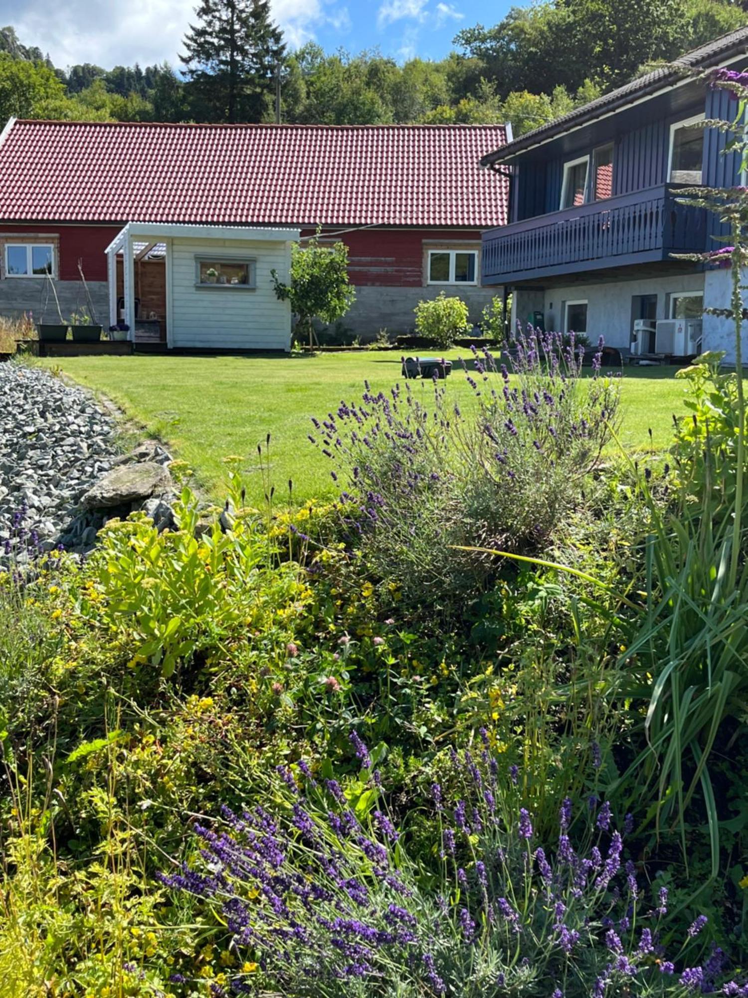Kjolevik Apartman Jørpeland Kültér fotó